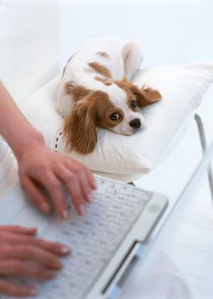 【最新版】SNS採用代行で差をつける!名古屋エリアの採用成功事例と効果的な活用法